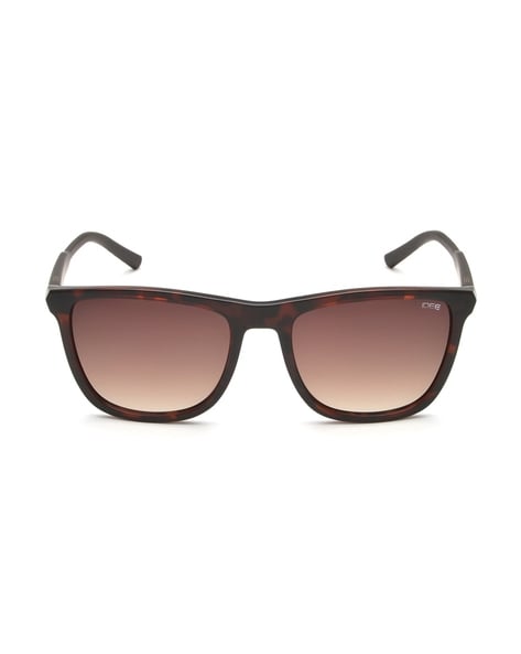 Buy Brown Sunglasses for Men by Idee Online Ajio