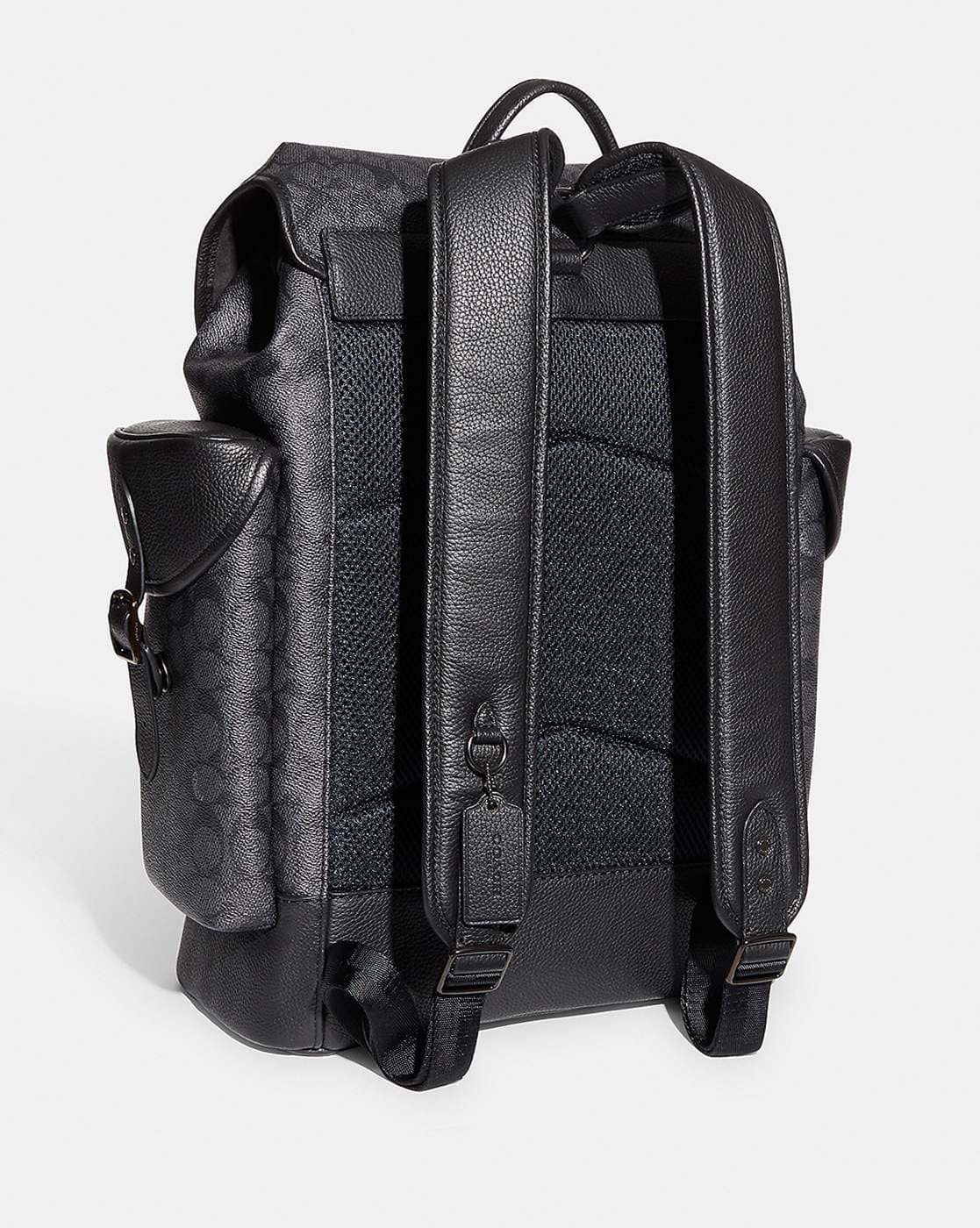 RATS BOA COACHJKT(BLACK×CHARCOAL)M RATS BOA COACHJKT(BLACK×CHARCOAL)M Black Rat - Facts, Diet