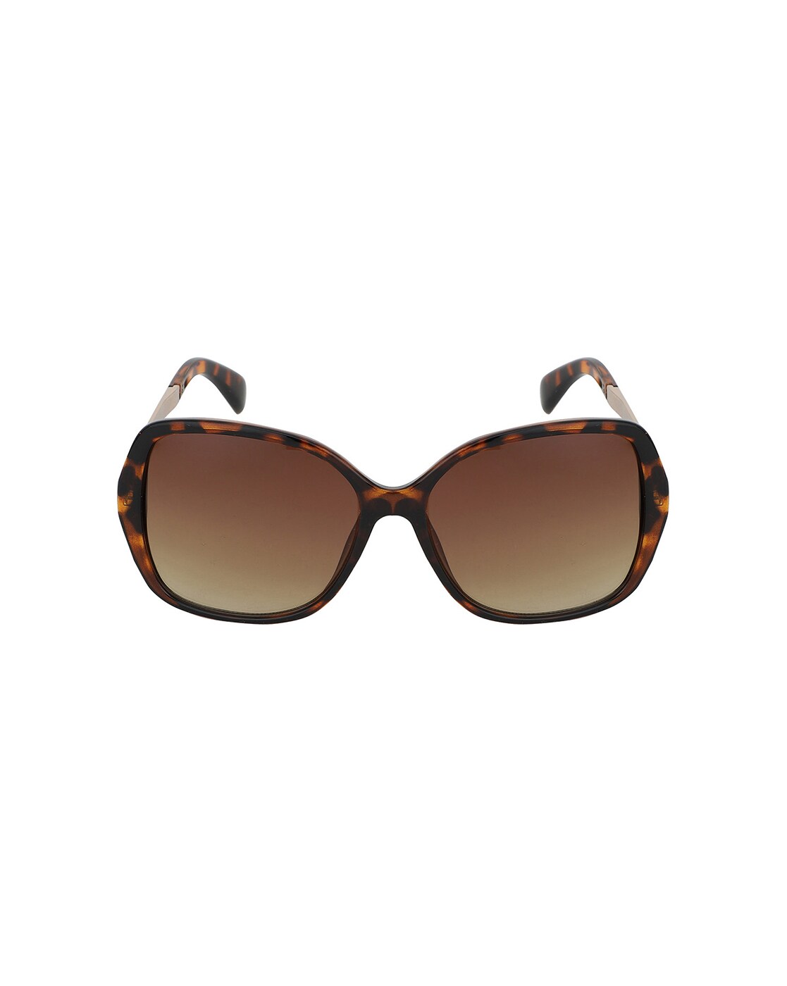 Buy Brown Sunglasses for Women by CARLTON LONDON Online | Ajio.com