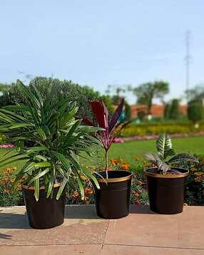 ecofynd Set of 3 Bucket Planters-picture-12