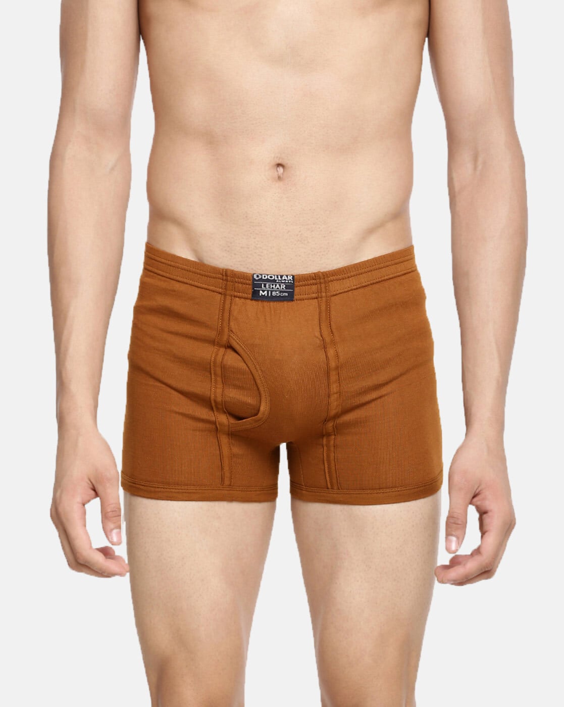 Buy Brown Trunks for Men by DOLLAR LEHAR Online