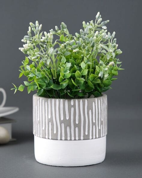 Buy Grey & White Gardening & Planters for Home & Kitchen by Tayhaa