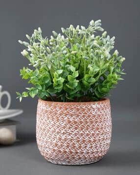tayhaa Geometric Pattern Planter-picture-16