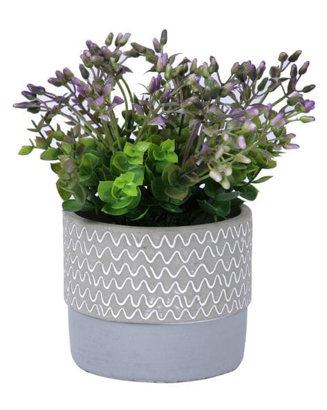 Buy Grey & White Gardening & Planters for Home & Kitchen by Tayhaa