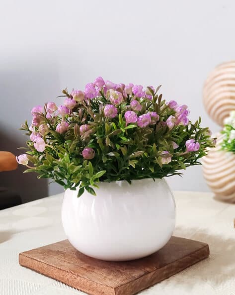 Buy Violet Gardening Planters for Home Kitchen by HOMESAKE