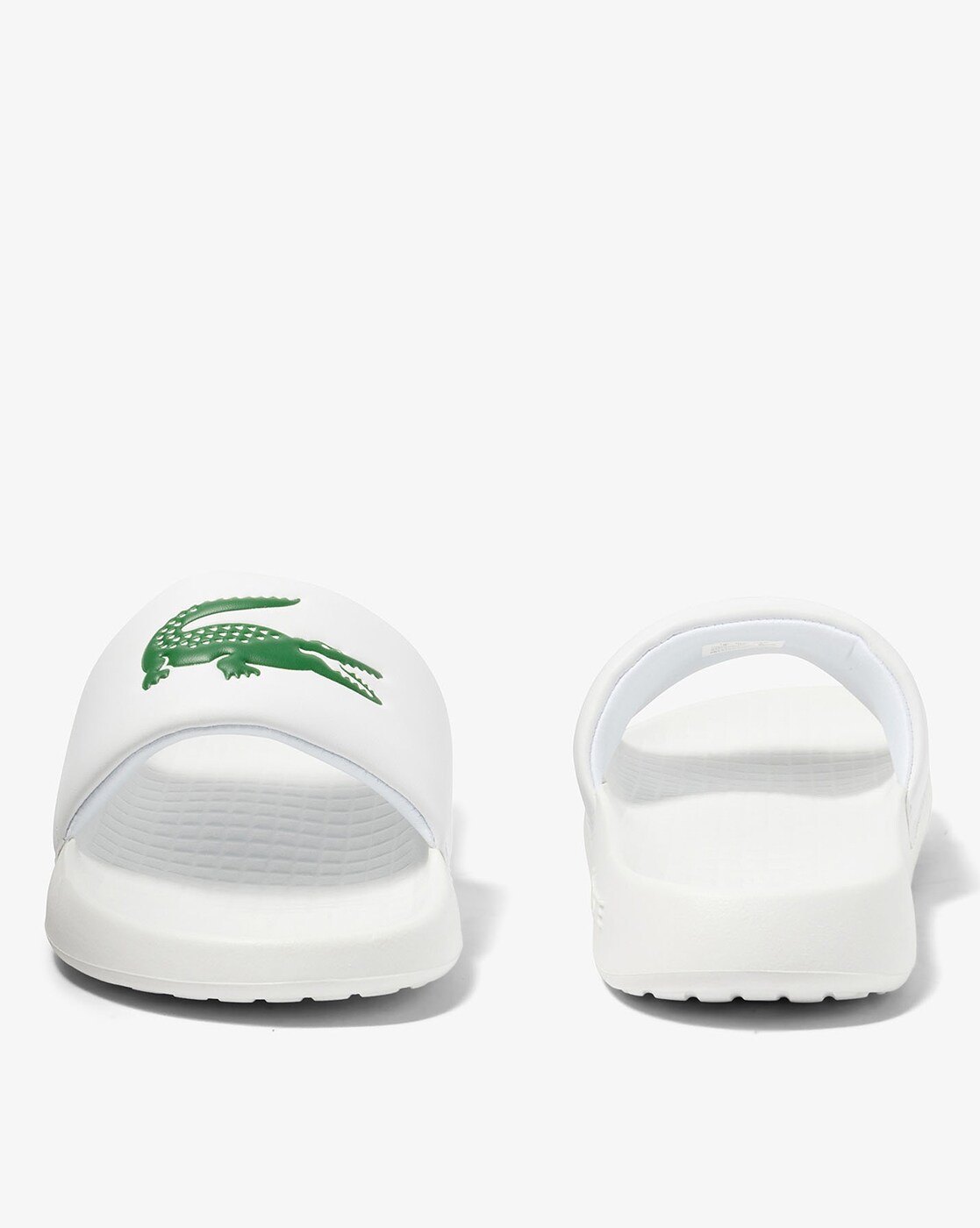 Croco 1.0 Synthetic Slides