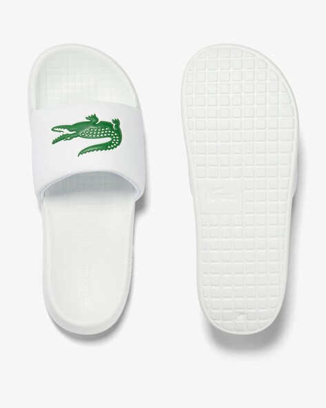 Croco 1.0 Synthetic Slides