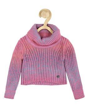 allen solly Ribbed Turtleneck Sweater-picture-48