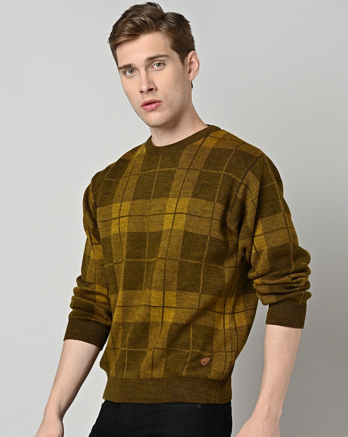 Checked Regular Fit Pullover