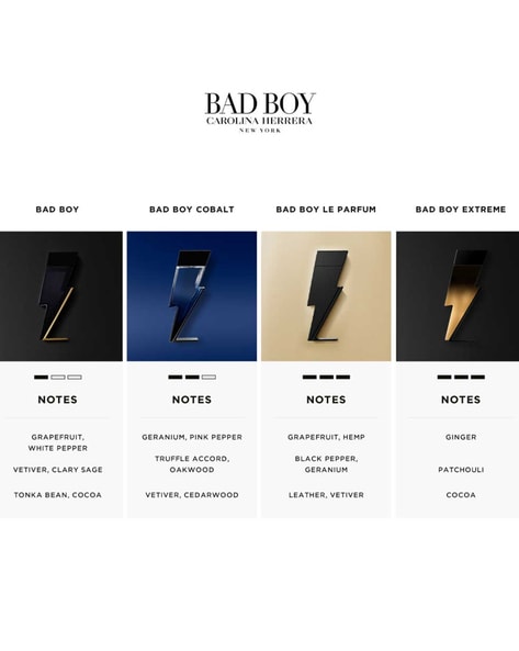 Bad boy carolina herrera men hot sale