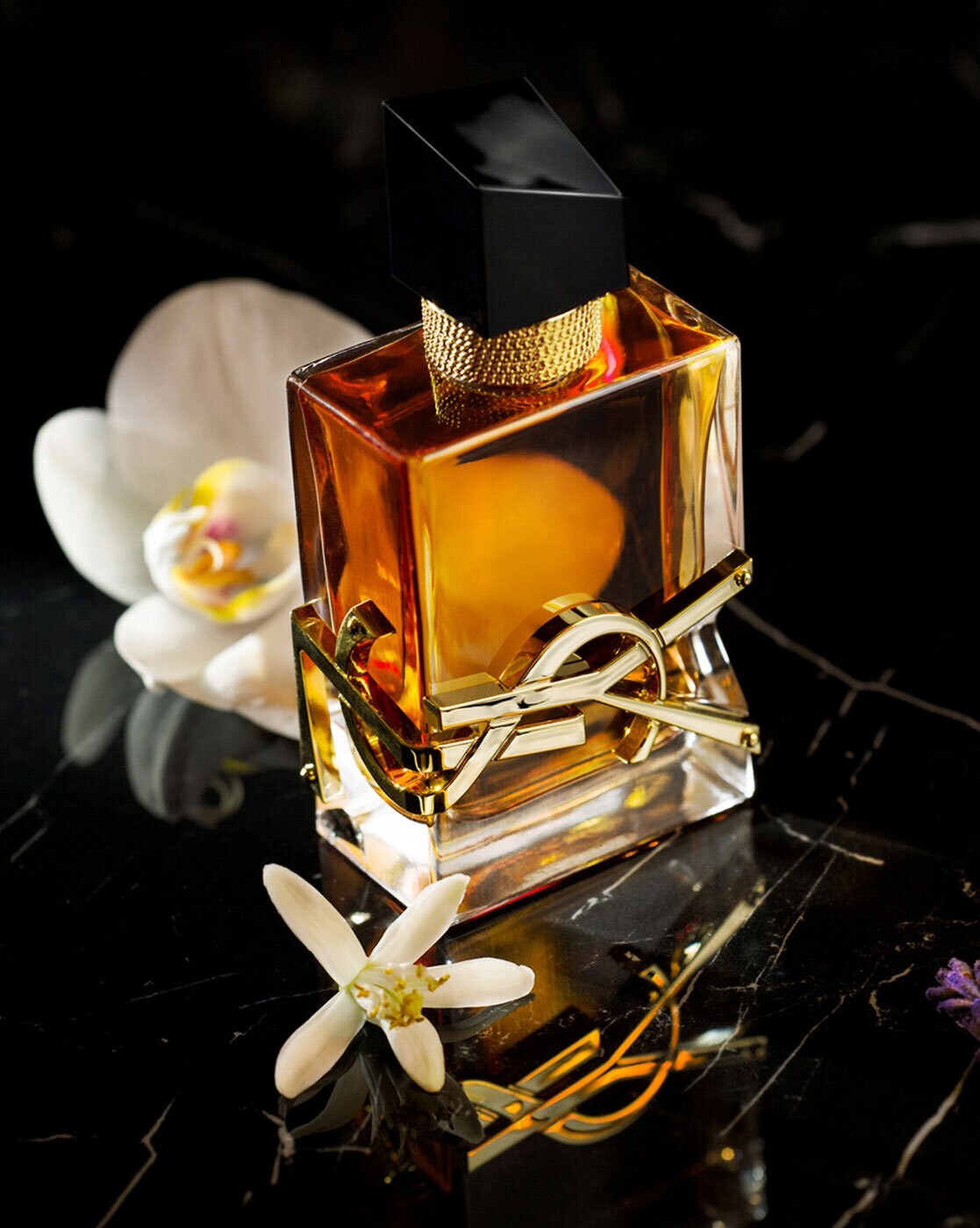 Liberte parfum best sale yves saint laurent