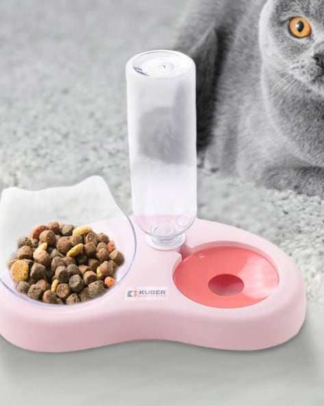 Electronic cat outlet bowl