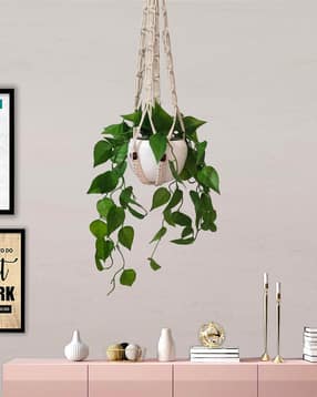 Hanging Fake Money Plants with Metal Pots-image-13