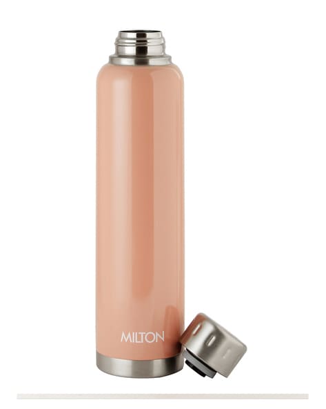 Buy Milton Water Flask - Insulated Thermosteel, Silver, Elfin