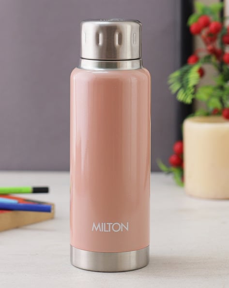 Buy Milton Water Flask - Insulated Thermosteel, Silver, Elfin