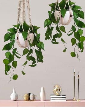 homesake Hanging Artificial Money Plant with Metal Pot-picture-33