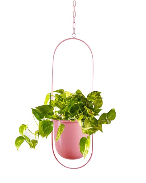 2024 Hanging Metal Plant Pot