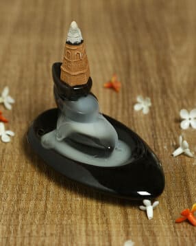 aapno rajasthan Smoke Fountain with Backflow Incense Cone-picture-13