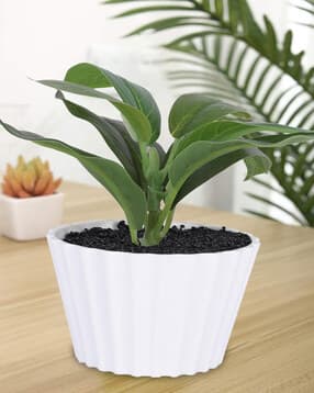 kuber industries Artificial Plant with Pot-picture-13