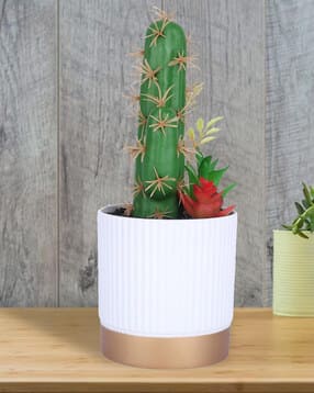 kuber industries Artificial Plant with Pot-picture-27
