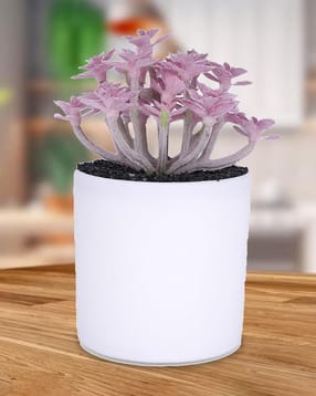 kuber industries Artificial Plant with Pot-picture-36