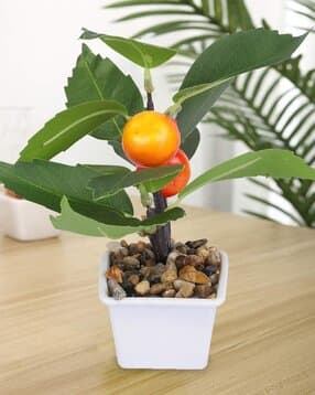 kuber industries Artificial Fruit Plant with Pot-picture-48