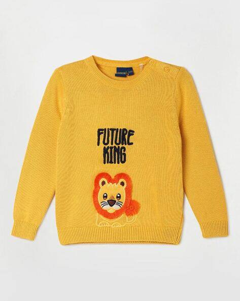 Boys Sweater with Full Sleeves