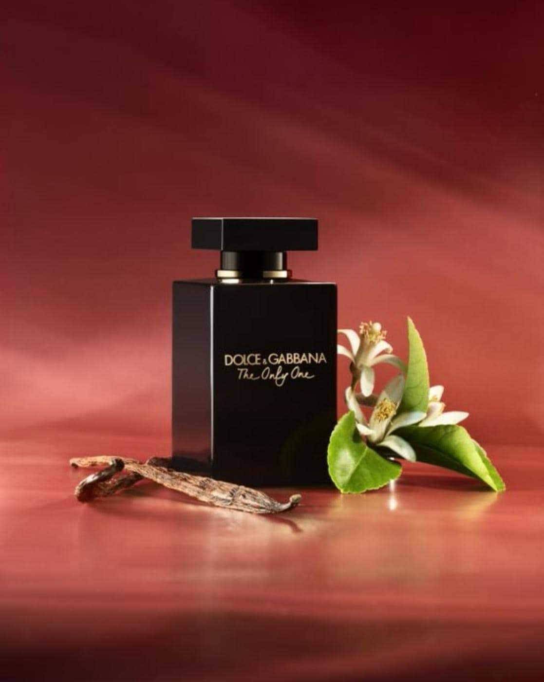 D&g the discount one edp intense