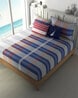 Buy Blue Bedsheets for Home & Kitchen by NAUTICA Online