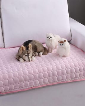 kuber industries Rectangular Pet Bed-picture-15