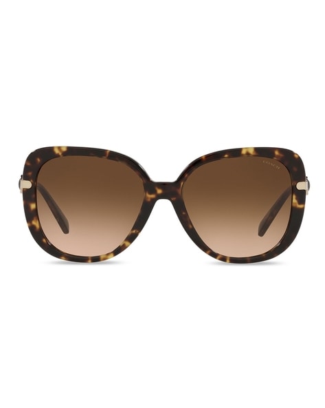 Discount coach sunglasses online