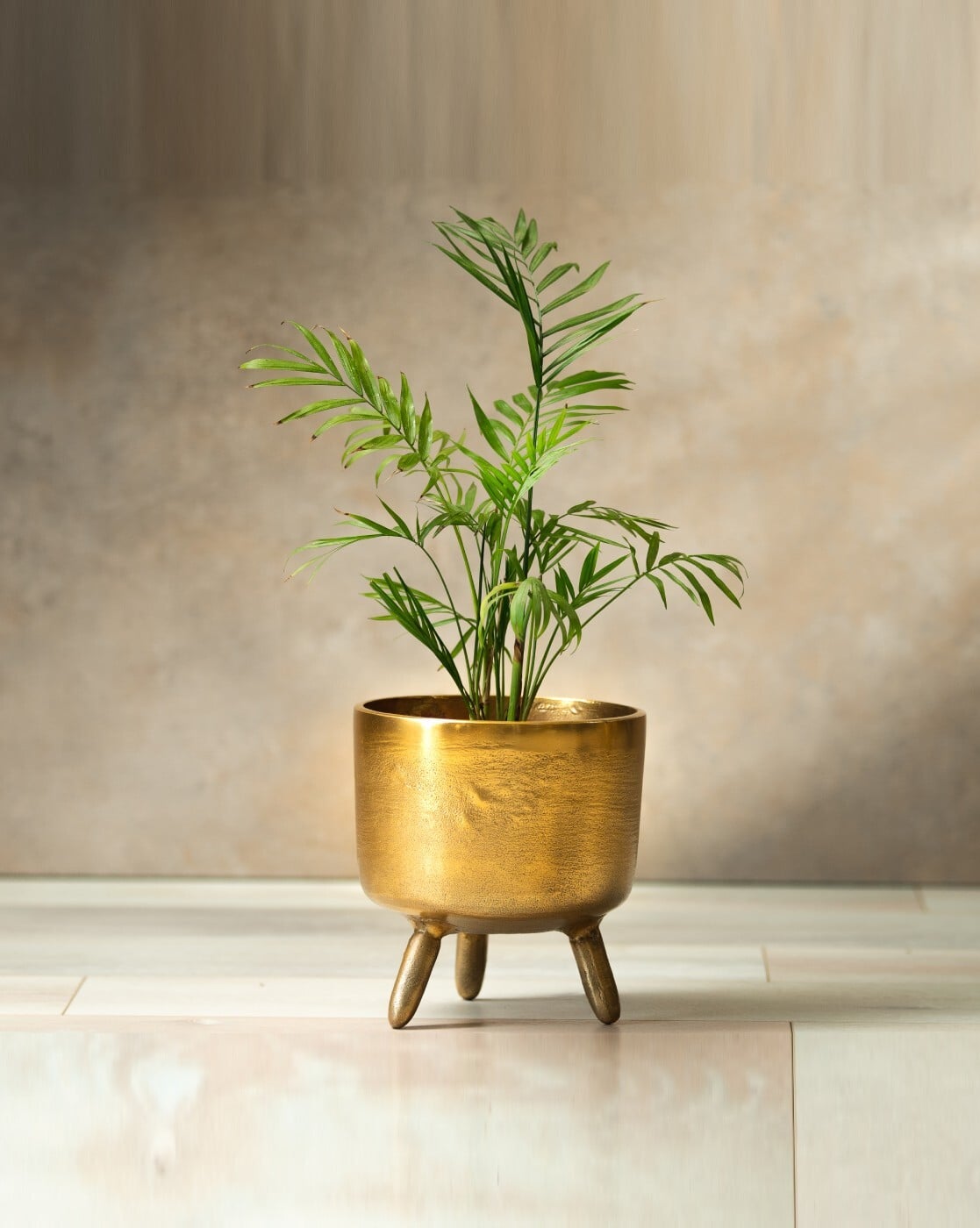 Buy SG Homes Gold-Plated Plant Pot | Gold Color Home & Kitchen