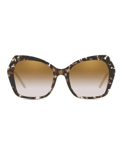 Dolce and gabbana butterfly sunglasses new arrivals