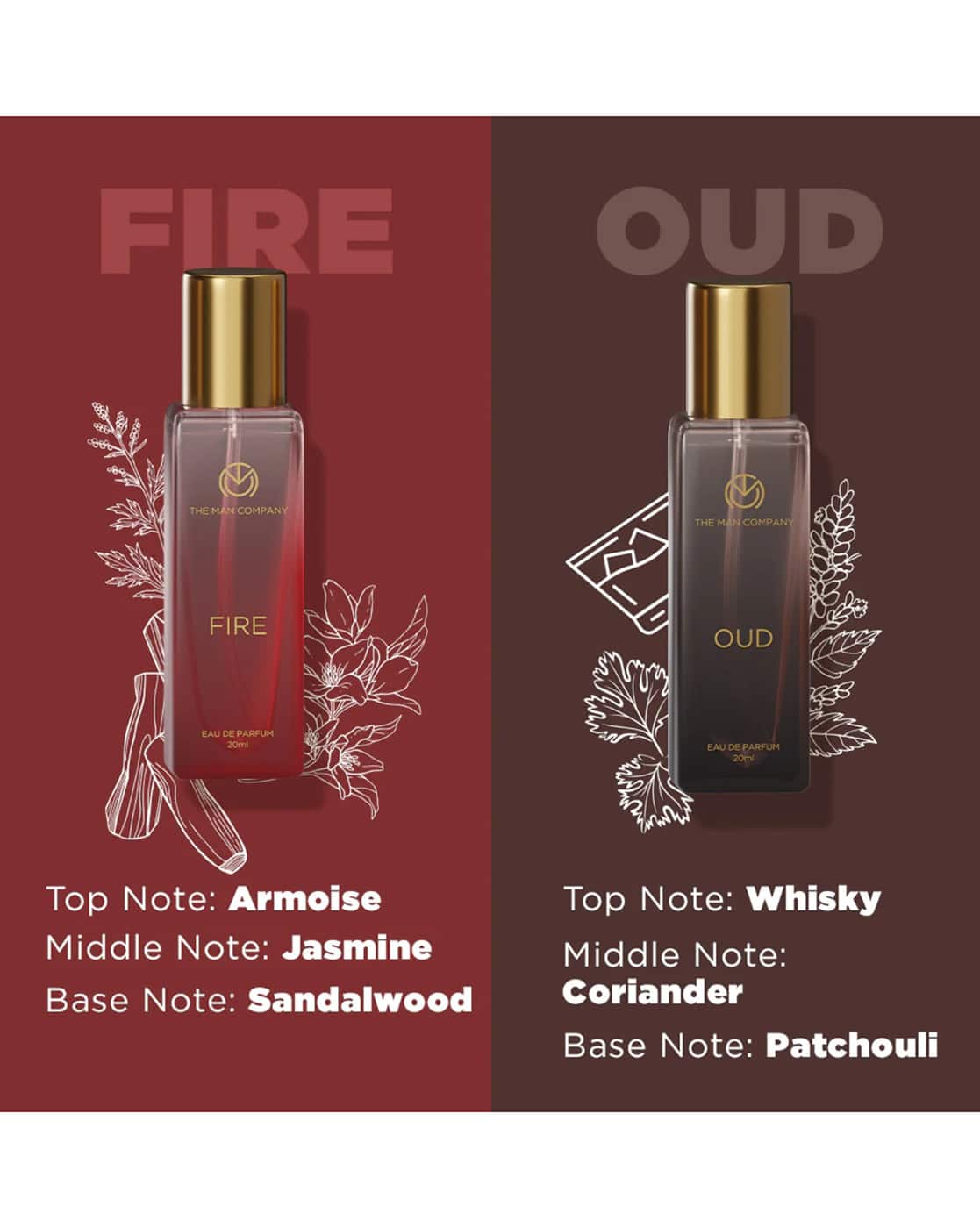 Alhudapk Com Jasmine And Sandalwood Fragrance Oil The Man Company