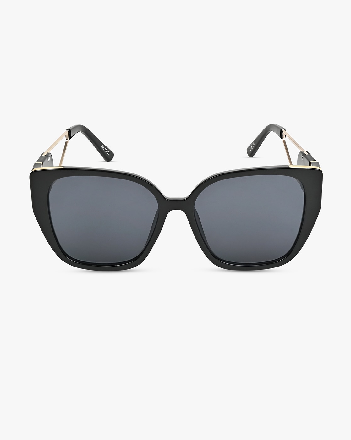 Buy Brown Sunglasses for Women by Aldo Online | Ajio.com