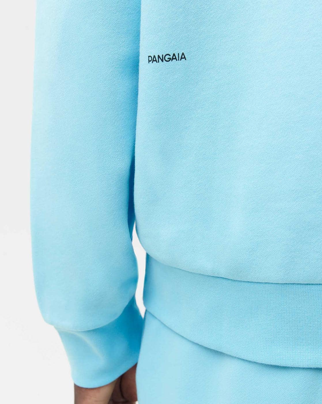 Buy Blue Sweatshirt Hoodies for Men by Pangaia Online