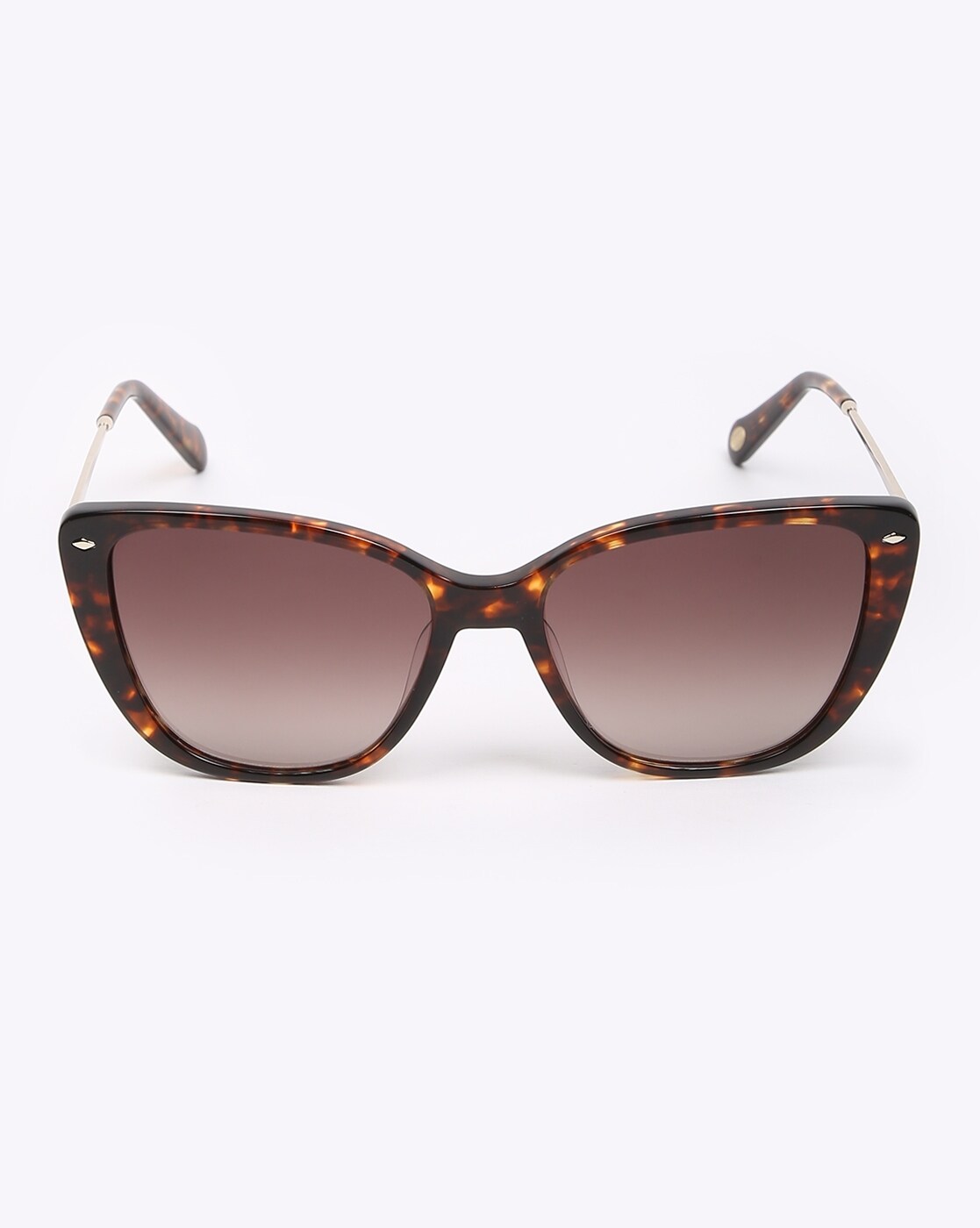 Moschino Tortoiseshell Cat-Eye Sunglasses Moschino