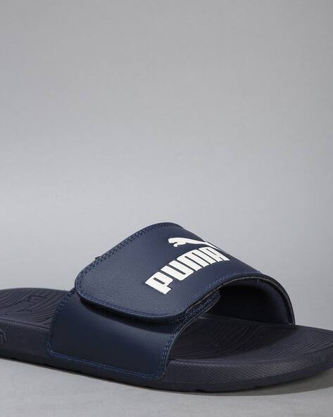 Cool Cat V BX Slides