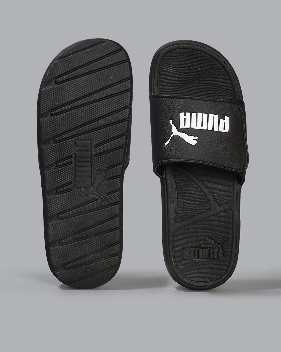 Cool cat v slides online