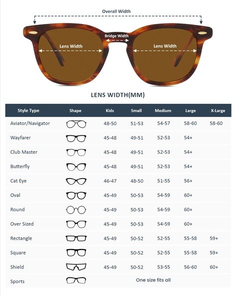 How to check size 2024 of ray ban aviator