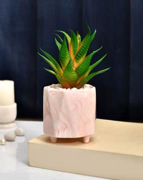 tayhaa Artificial Succulent with Planter-picture-16