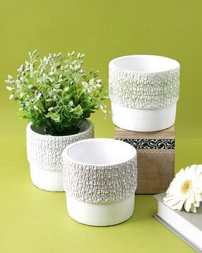 tayhaa Set of 2 Textured Planters-picture-37