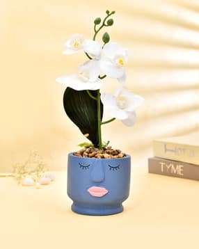 Face Planter with Artificial Orchids-image-45