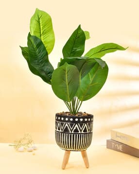 Leaf Plant with Tribal Planter-image-43