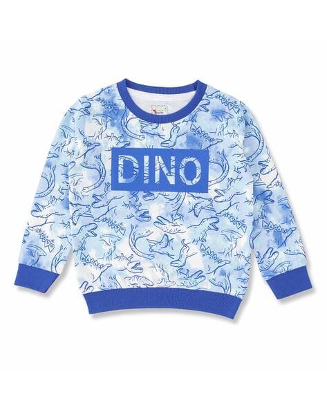 Buy Blue Sweatshirts Hoodie for Boys by BABY'S PRIDE Online