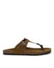 Buy Copper Flip Flop & Slippers for Men by AZZARO BLACK Online | Ajio.com