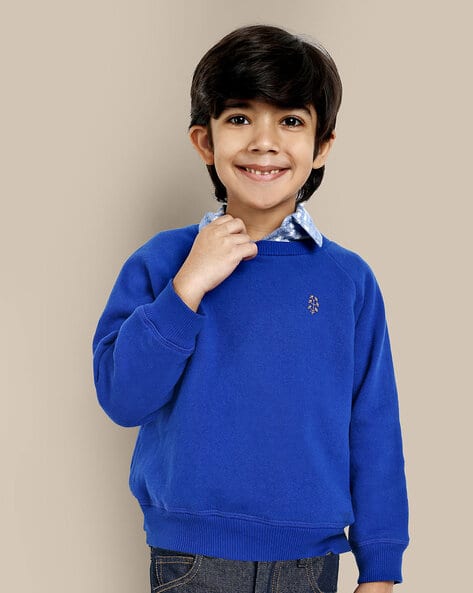 Buy Blue Sweatshirts Hoodie for Boys by the tribe kids Online
