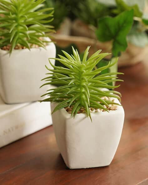 Pure Home And Living Green Artificial Cactus Succulent Plant with Cement Pot