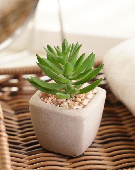 Pure Home And Living Artificial Succulents with Pot