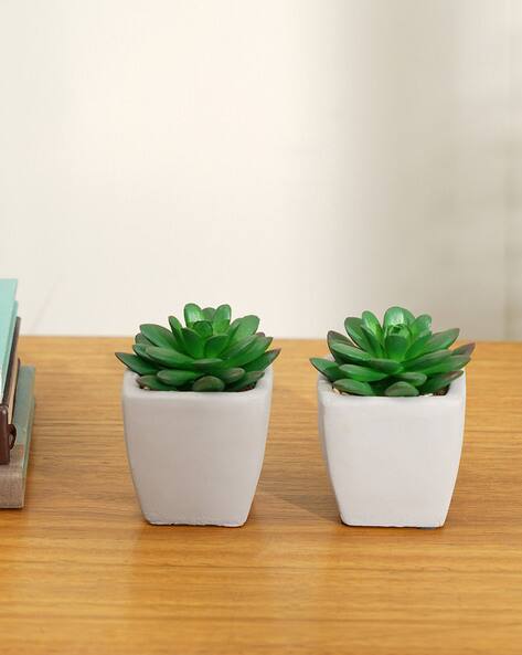 Pure Home And Living Set of 2 Faux Succulent with Pot